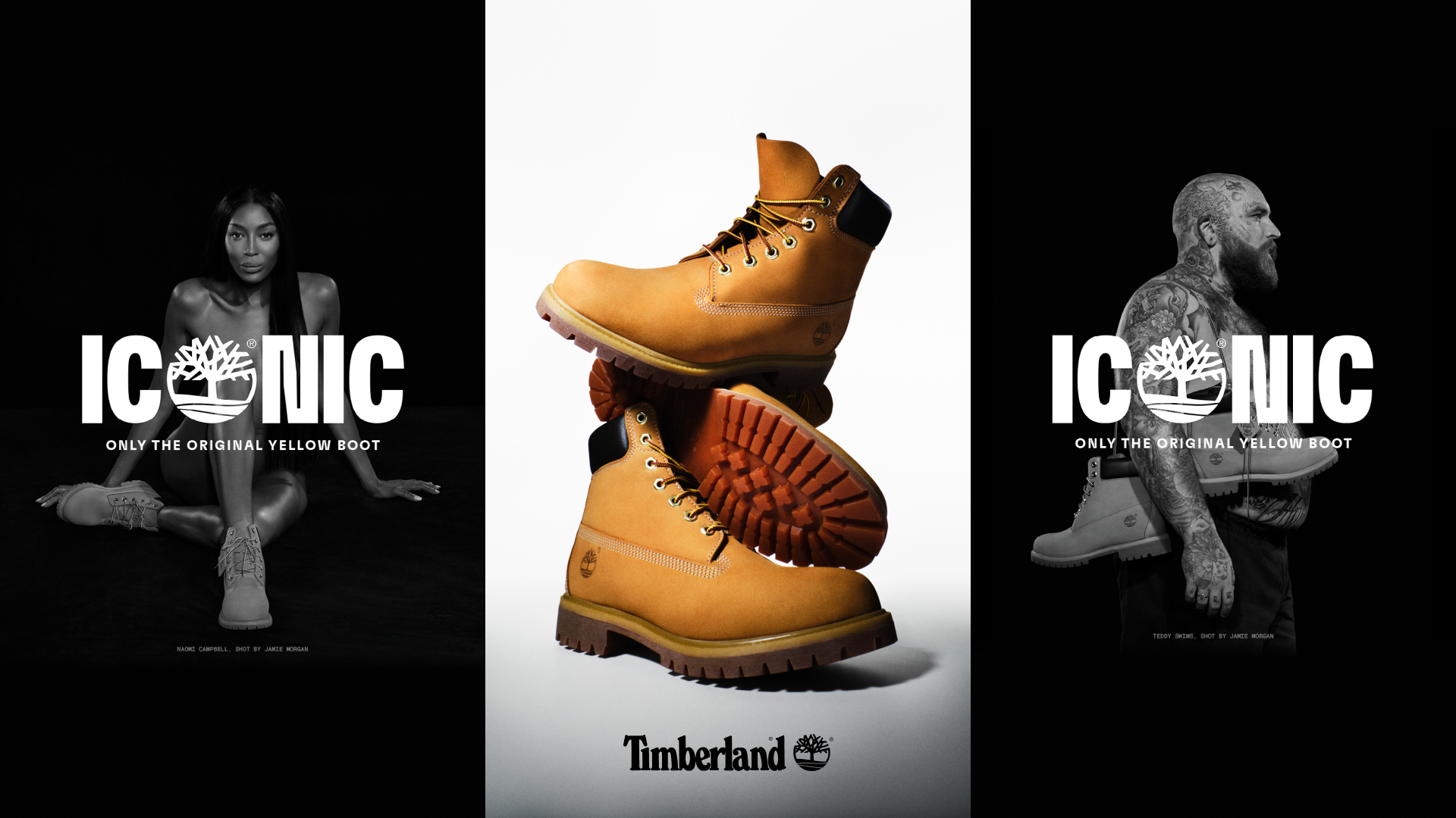 TIMBERLAND