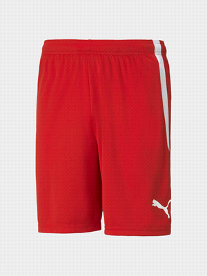 TEAMLIGA SHORTS