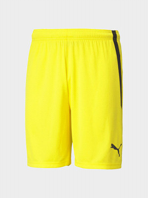 TEAMLIGA SHORTS