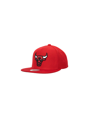 CAPPELLO TEAM GROUND 2,0 CHICAGO BULLS 