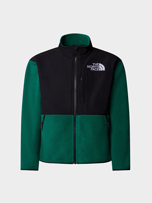 THE NORTH FACE PILE DENALI FELPERIA BAMBINO Nero Verde ... 