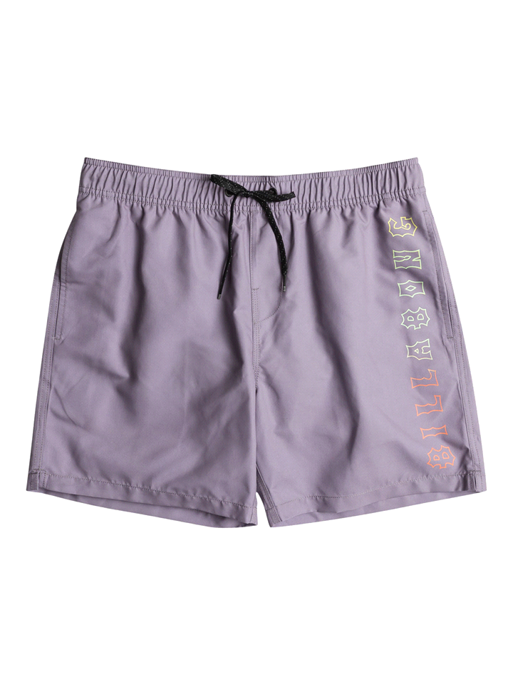 BILLABONG BOXER ALL DAY HERITAGE BOXER UOMO Grigio Viola ... 